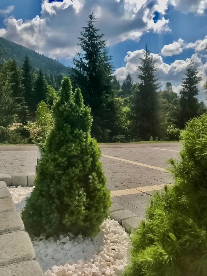 Chalet Carpat Dream Синевир Екстериор снимка