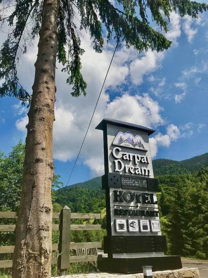 Chalet Carpat Dream Синевир Екстериор снимка