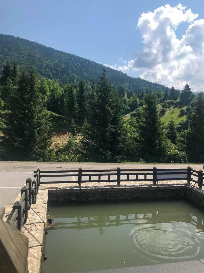 Chalet Carpat Dream Синевир Екстериор снимка